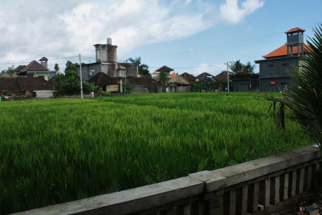 Cenik House Ubud Εξωτερικό φωτογραφία